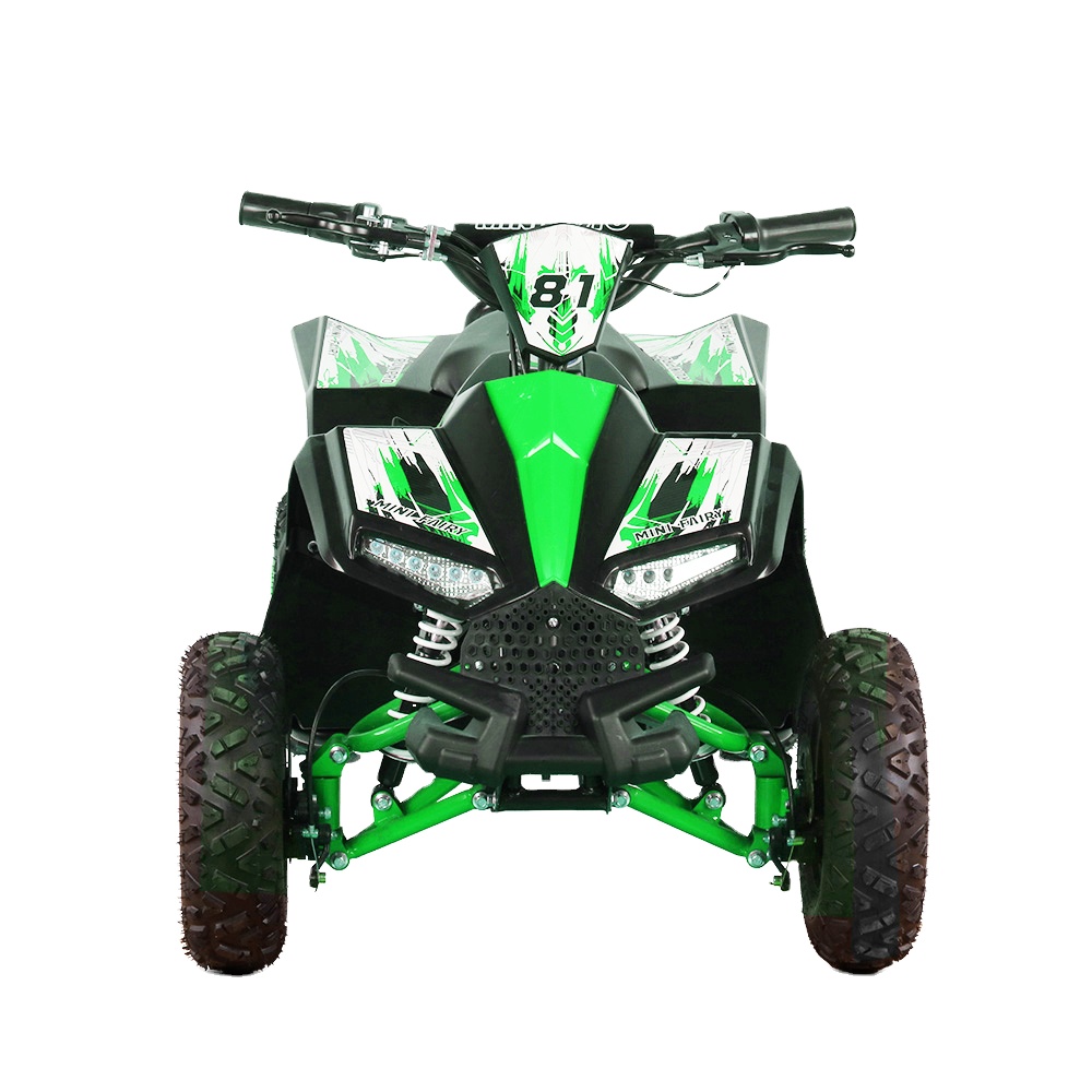 Outdoor Adventure Quad Biking - รถเอทีวีไฟฟ้าสำหรับเด็ก 1000W 48V 4 ล้อ, จักรยานเสือภูเขาความเร็วสูงสำหรับเด็ก