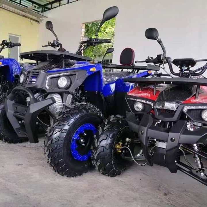 รถบักกี้วิบาก 200 ซีซี GY6 สำห - Outdoor Adventure Quad Biking บทวิจารณ์และราคา